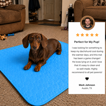 Finally. Cooling Comfort For Dogs Who Overheat Fast