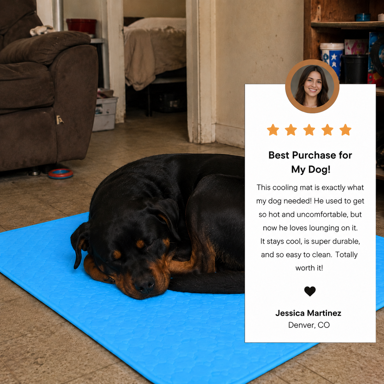 Finally. Cooling Comfort For Dogs Who Overheat Fast