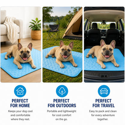 Finally. Cooling Comfort For Dogs Who Overheat Fast