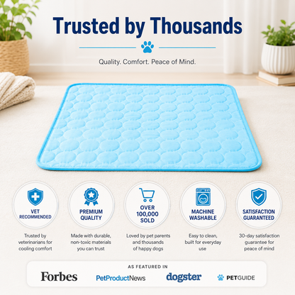 Finally. Cooling Comfort For Dogs Who Overheat Fast