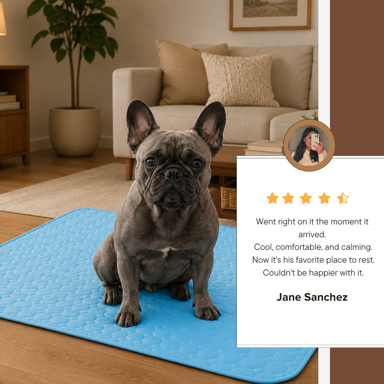 Finally. Cooling Comfort For Dogs Who Overheat Fast