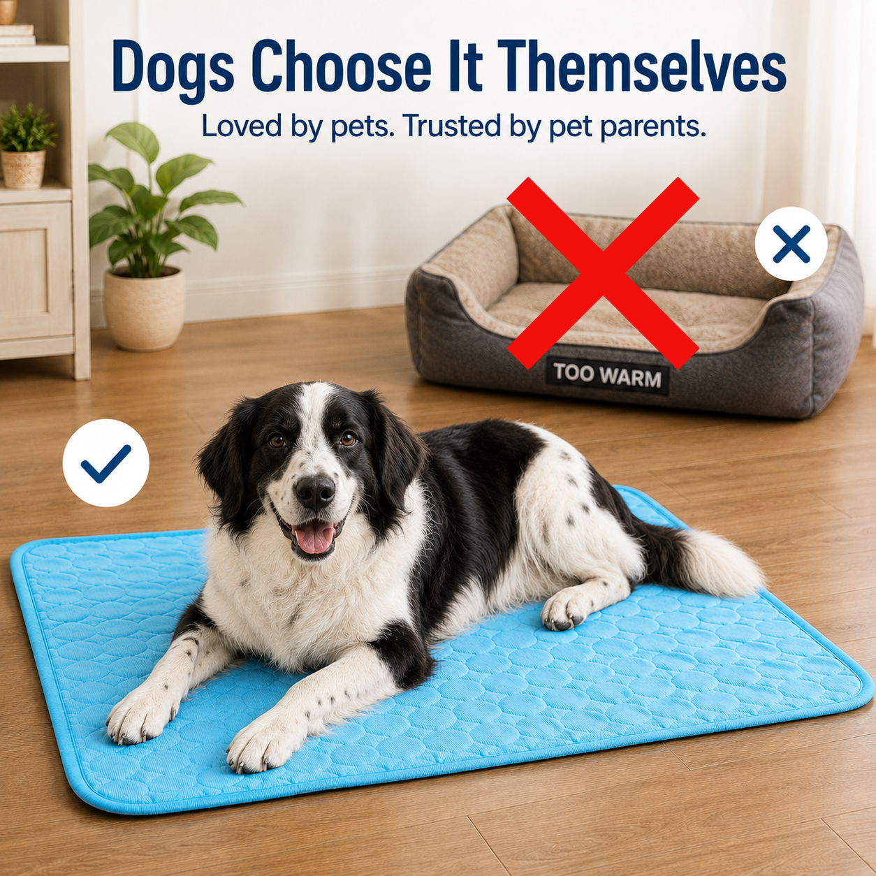 Finally. Cooling Comfort For Dogs Who Overheat Fast